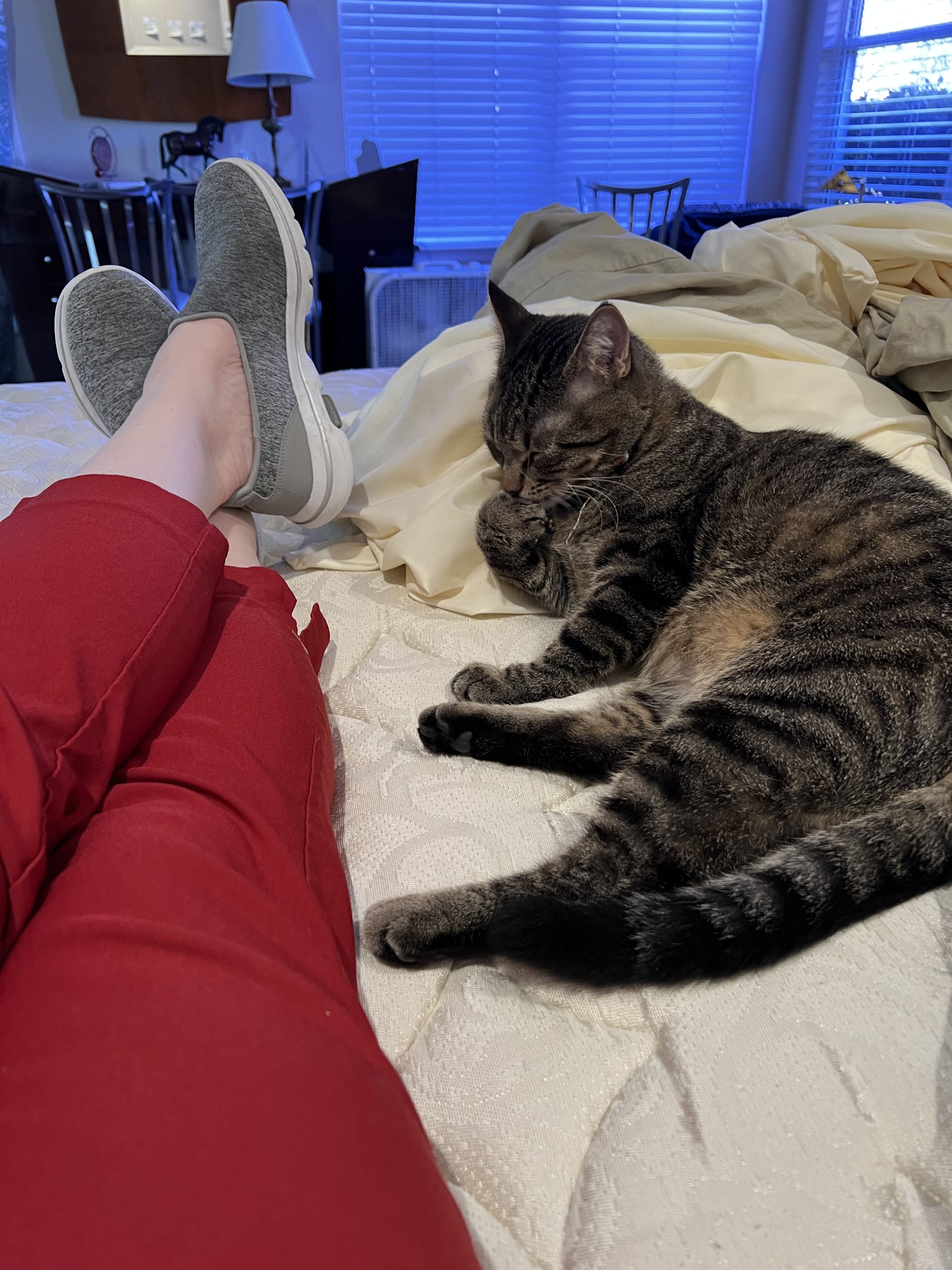 Maison Du Claude - Image 2